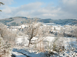winter 2011/2012